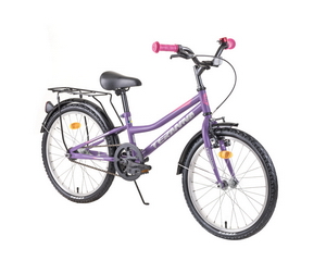 Detský bicykel Dhs Teranna 2002 20 Model 2019 Purple